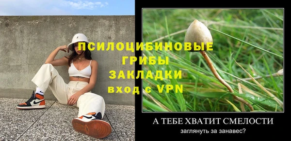 дурь Пролетарск
