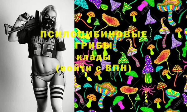 МДПВ Рославль