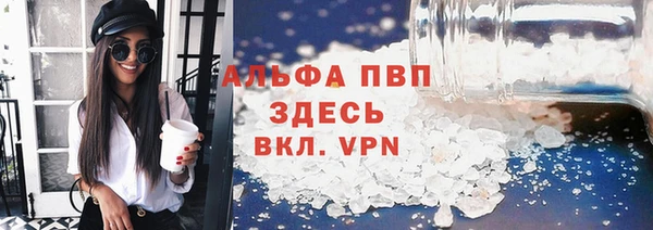 СК Ростов