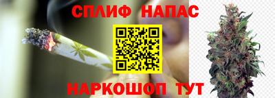 PSILOCYBIN Бугуруслан