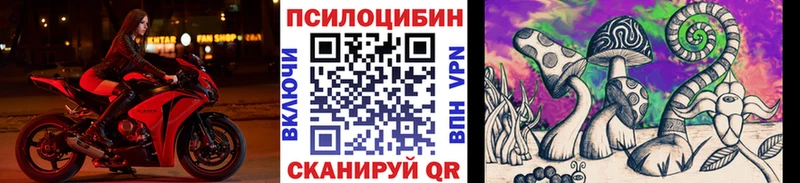 Псилоцибиновые грибы GOLDEN TEACHER  Краснодар 