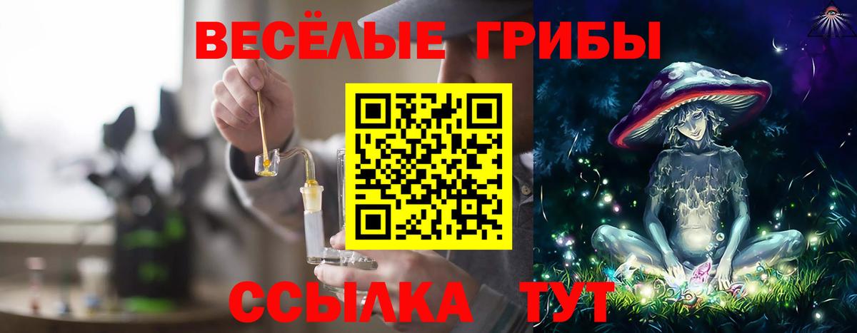 Галлюциногенные грибы Psilocybe  Псилоцибиновые грибы Magic Shrooms  Краснодар  Вход с VPN 